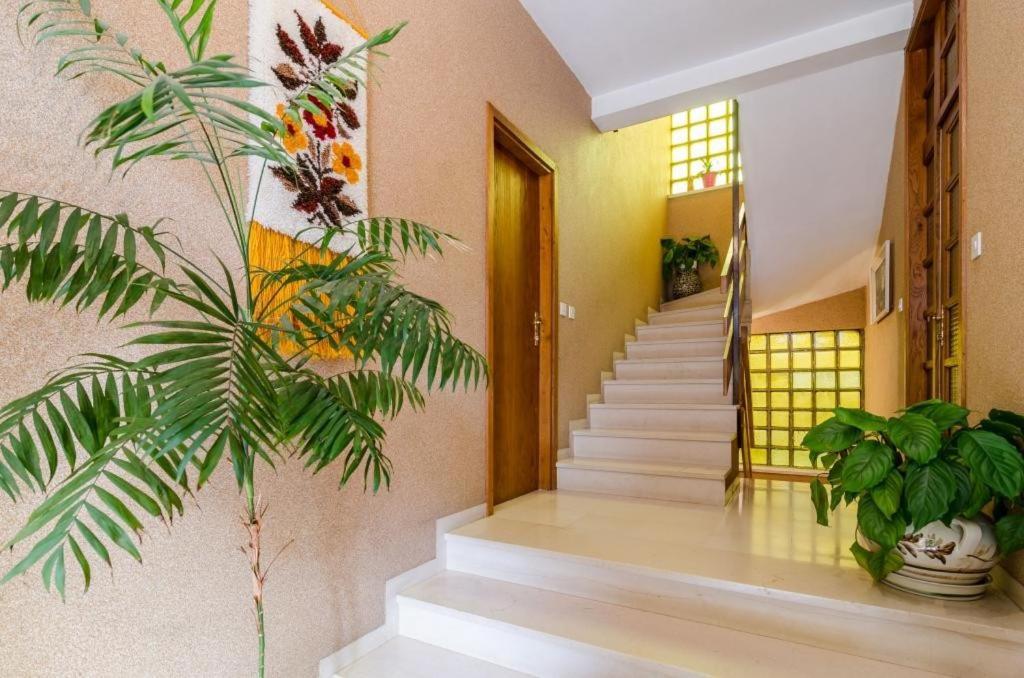 Apartments Villa Ivka Dubrovnik Kültér fotó