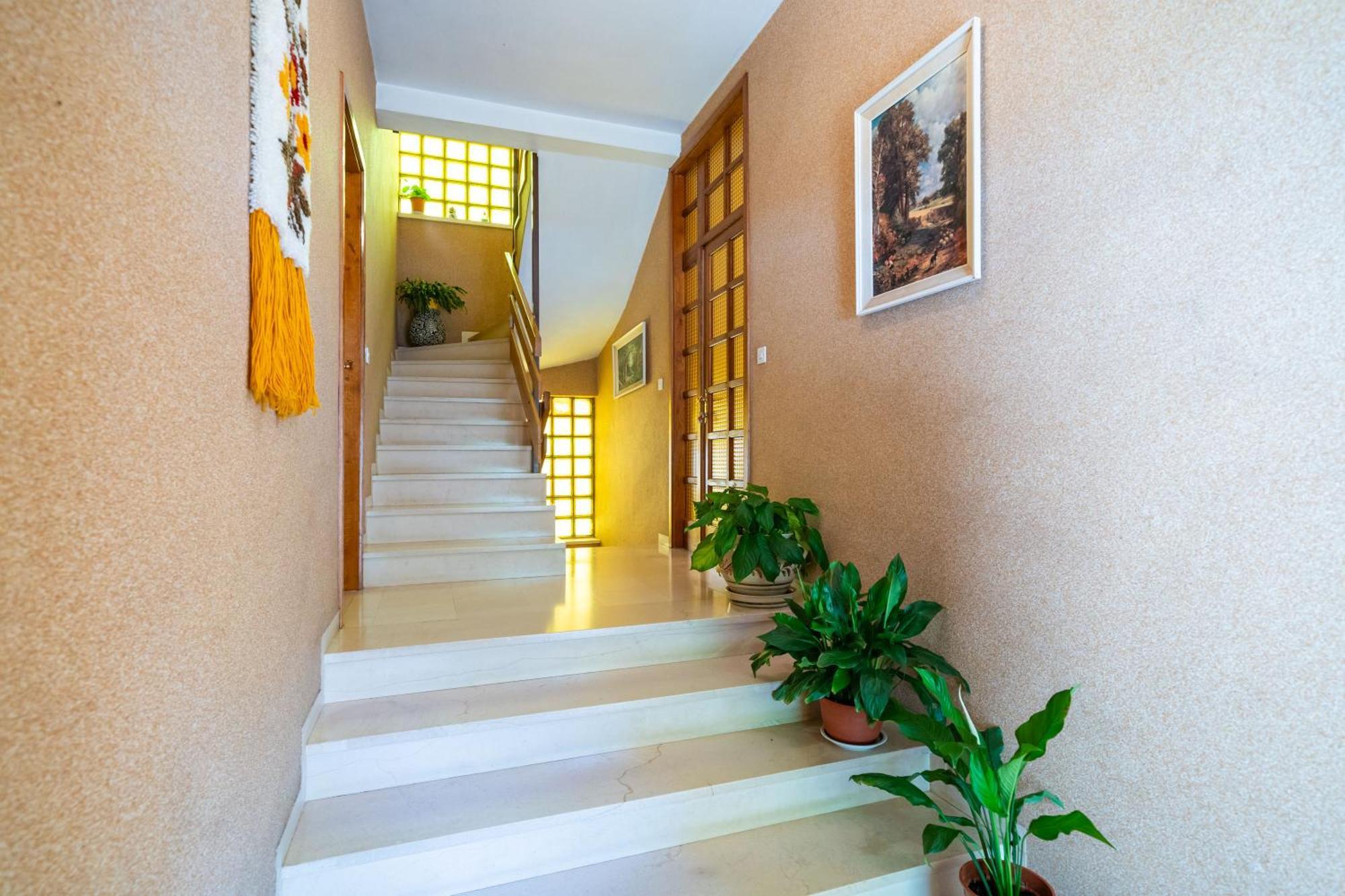 Apartments Villa Ivka Dubrovnik Kültér fotó
